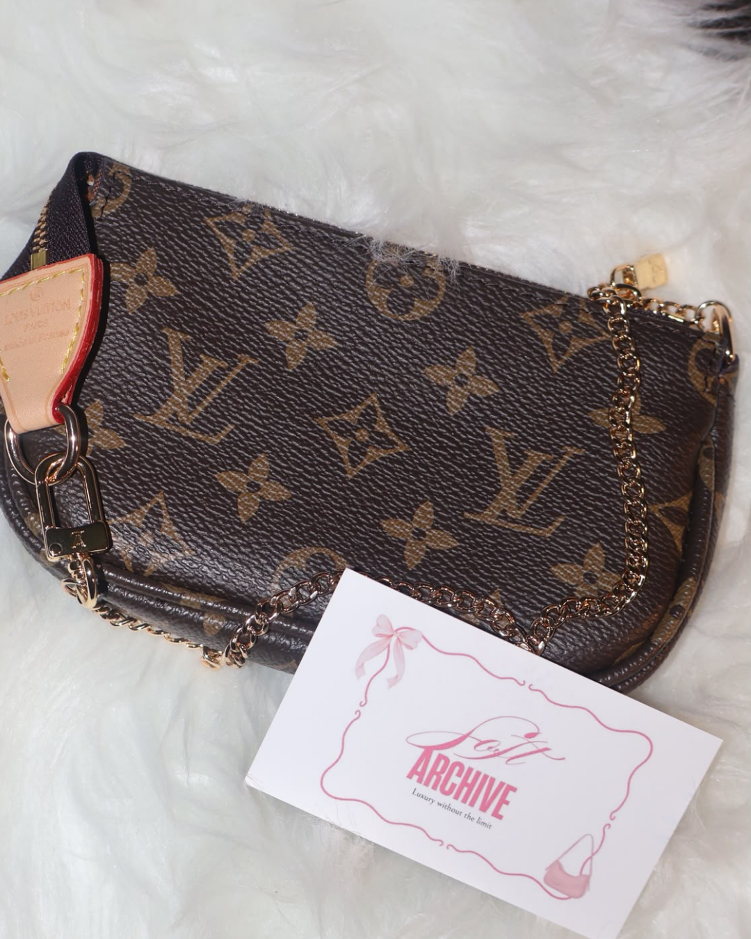 LV Brown Mini Pochette Bag